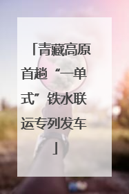 青藏高原首趟“一单式”铁水联运专列发车