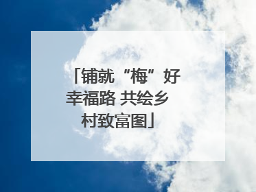 铺就“梅”好幸福路 共绘乡村致富图