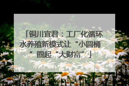 铜川宜君：工厂化循环水养殖新模式让“小圆桶”圈起“大财富”
