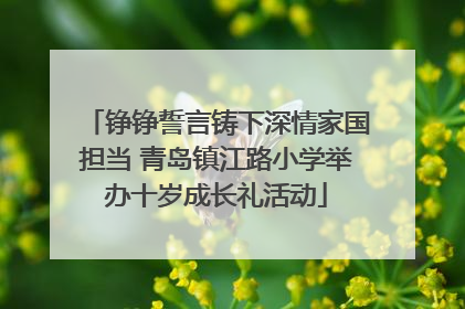铮铮誓言铸下深情家国担当 青岛镇江路小学举办十岁成长礼活动