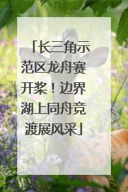 长三角示范区龙舟赛开桨！边界湖上同舟竞渡展风采