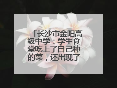 长沙市金阳高级中学：学生食堂吃上了自己种的菜，还出现了一批劳动能手