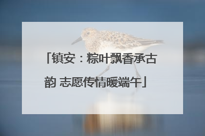 镇安：粽叶飘香承古韵 志愿传情暖端午