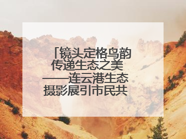镜头定格鸟韵 传递生态之美——连云港生态摄影展引市民共赏自然之魅
