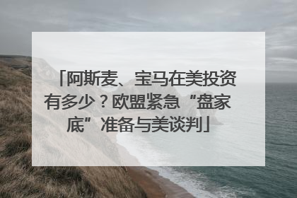 阿斯麦、宝马在美投资有多少？欧盟紧急“盘家底”准备与美谈判