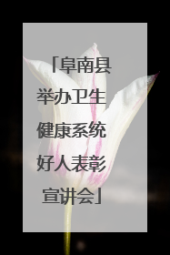 阜南县举办卫生健康系统好人表彰宣讲会
