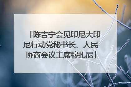陈吉宁会见印尼大印尼行动党秘书长、人民协商会议主席穆扎尼