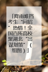 降雨难挡考生“问招”热情！全国百所高校聚湖北“出谋划策”（组图）