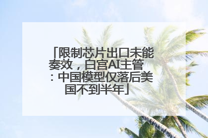 限制芯片出口未能奏效，白宫AI主管：中国模型仅落后美国不到半年