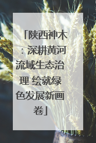 陕西神木：深耕黄河流域生态治理 绘就绿色发展新画卷