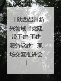 陕西召开新兴领域“党建带工建 工建服务党建”现场交流推进会