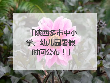 陕西多市中小学、幼儿园暑假时间公布！