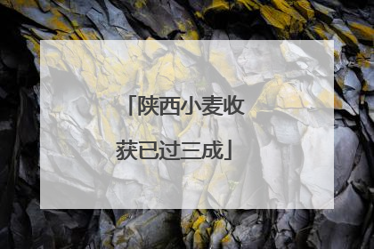 陕西小麦收获已过三成