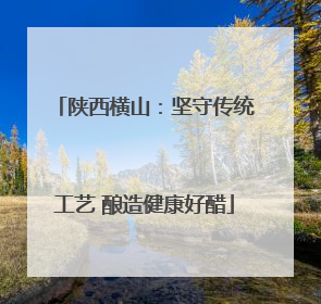 陕西横山：坚守传统工艺 酿造健康好醋
