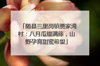 随县三里岗镇贾家湾村：八月瓜缀满藤，山野孕育甜蜜希望