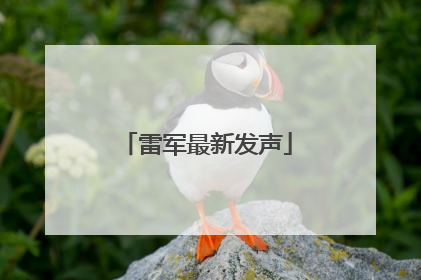 雷军最新发声