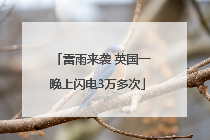 雷雨来袭 英国一晚上闪电3万多次
