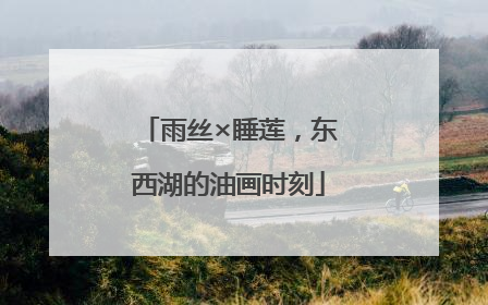 雨丝×睡莲，东西湖的油画时刻