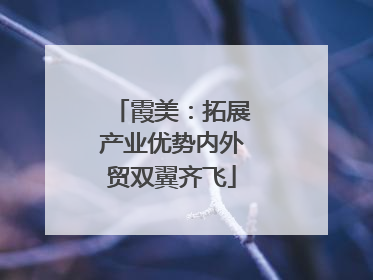 霞美：拓展产业优势内外贸双翼齐飞