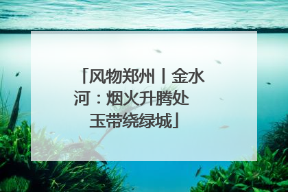 风物郑州丨金水河：烟火升腾处 玉带绕绿城