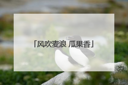 风吹麦浪 瓜果香