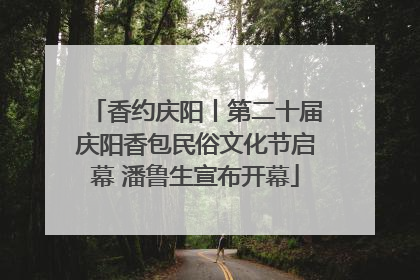 香约庆阳丨第二十届庆阳香包民俗文化节启幕 潘鲁生宣布开幕