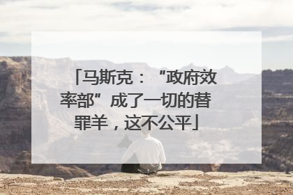马斯克：“政府效率部”成了一切的替罪羊，这不公平