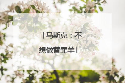马斯克：不想做替罪羊