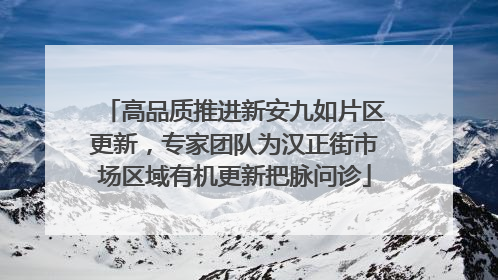 高品质推进新安九如片区更新，专家团队为汉正街市场区域有机更新把脉问诊