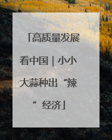 高质量发展看中国｜小小大蒜种出“辣”经济