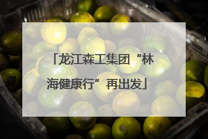 龙江森工集团“林海健康行”再出发