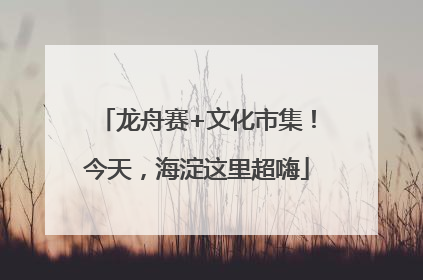 龙舟赛+文化市集！今天，海淀这里超嗨