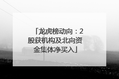 龙虎榜动向：2股获机构及北向资金集体净买入