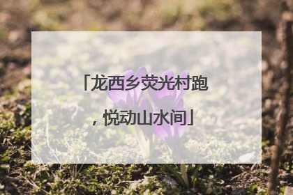 龙西乡荧光村跑，悦动山水间