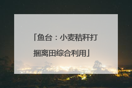 鱼台：小麦秸秆打捆离田综合利用