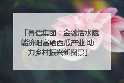 鲁信集团：金融活水赋能济阳富硒西瓜产业 助力乡村振兴新图景