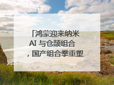 鸿蒙迎来纳米 AI 与仓颉组合，国产组合拳重塑AI搜索体验｜新经济观察