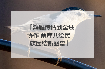 鸿雁传情到全域协作 甬库共绘民族团结新图景