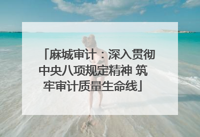 麻城审计：深入贯彻中央八项规定精神 筑牢审计质量生命线