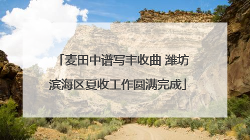 麦田中谱写丰收曲 潍坊滨海区夏收工作圆满完成