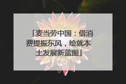 麦当劳中国：借消费提振东风，绘就本土发展新蓝图