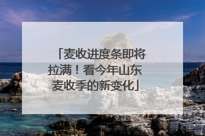 麦收进度条即将拉满！看今年山东麦收季的新变化