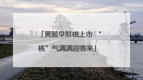 黄陂早鲜桃上市 “桃”气满满迎客来