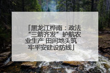 黑龙江桦南：政法“三箭齐发”护航农业生产 田间地头筑牢平安建设防线