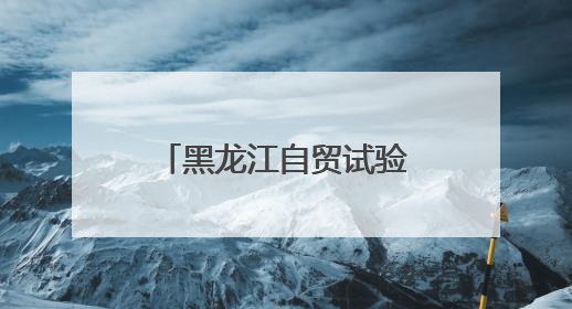 黑龙江自贸试验区：从“创新试验田”向“经济增长极”的质变