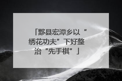 黟县宏潭乡以“绣花功夫”下好整治“先手棋”