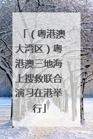 （粤港澳大湾区）粤港澳三地海上搜救联合演习在港举行