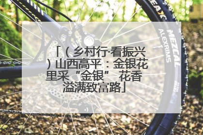 （乡村行·看振兴）山西高平：金银花里采“金银” 花香溢满致富路