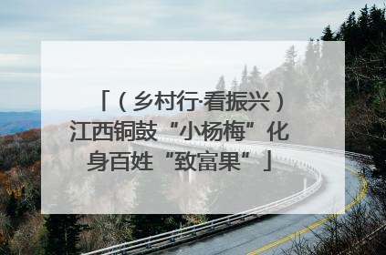 （乡村行·看振兴）江西铜鼓“小杨梅”化身百姓“致富果”