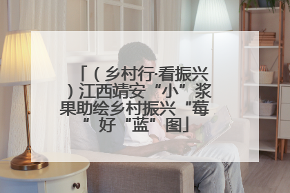 （乡村行·看振兴）江西靖安“小”浆果助绘乡村振兴“莓”好“蓝”图